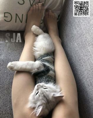 欧美女星kelly_DVD在线观看完整版