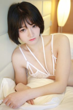 一区二区午夜_DVD在线播放